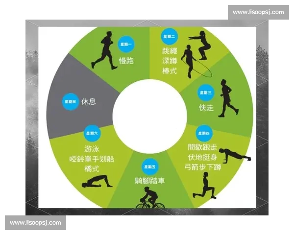 掌握体育比赛术语的高效学习方法与实战理解技巧系统进阶指南